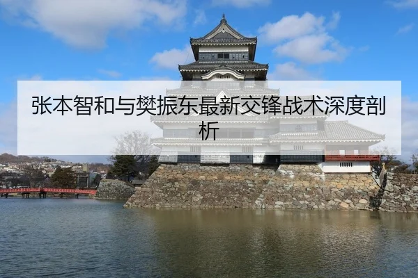 张本智和与樊振东最新交锋战术深度剖析